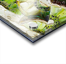 slices kiwi Acrylic print