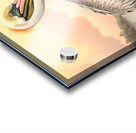 Pelican Acrylic print