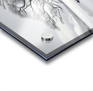 lake tree reflections Acrylic print