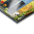 TADICINAL ISLAND STREET Acrylic print