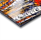 Orange Fall Acrylic print