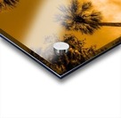 Palms to heaven Acrylic print