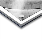 Skeleton Leaf  Acrylic print