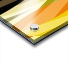 JUNGLE Acrylic print