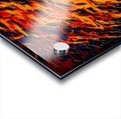 Lion in Colors Acrylic print