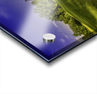 FLORIDA GOLF COURT Acrylic print