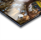 FLORIDA LAKE Acrylic print