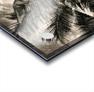 Palm Gray Acrylic print