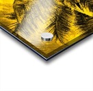 Palm Gold Acrylic print