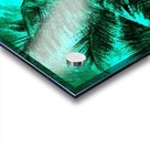 Palm Agua Acrylic print
