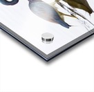 Face to Face Acrylic print