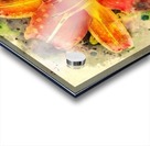 Spring Flower Acrylic print