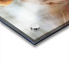 GREAT BLUE HERON Painting Acrylic print