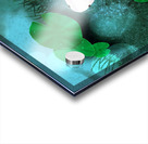 Goldfish II Acrylic print