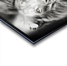 Leon face Acrylic print