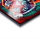 Tiger Color Face Acrylic print