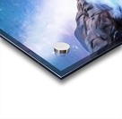 Sky of Lights Acrylic print