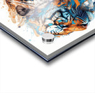 tigers in colors Acrylic print