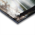 lake view Acrylic print