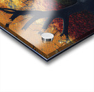 house in autumn Acrylic print