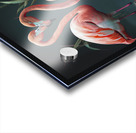 flamingos at night Acrylic print