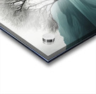 a dimensional illusion Acrylic print