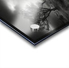 river tree Acrylic print