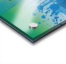 florida bird abstract Acrylic print