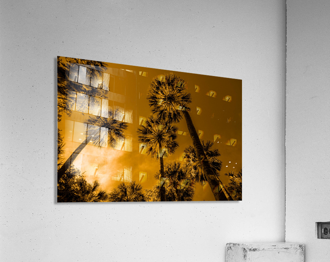 Palms to heaven Acrylic Print