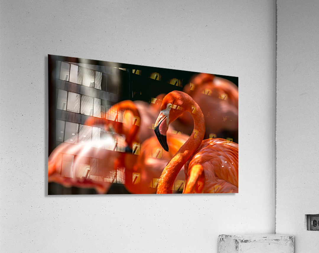 flamingo family Acrylic Print