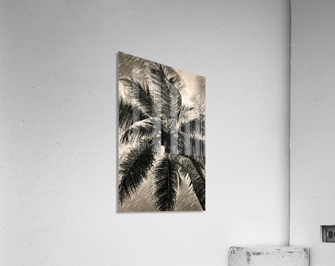 Palm Gray Acrylic Print