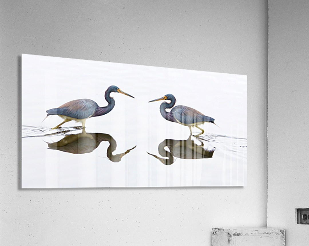 Face to Face Acrylic Print