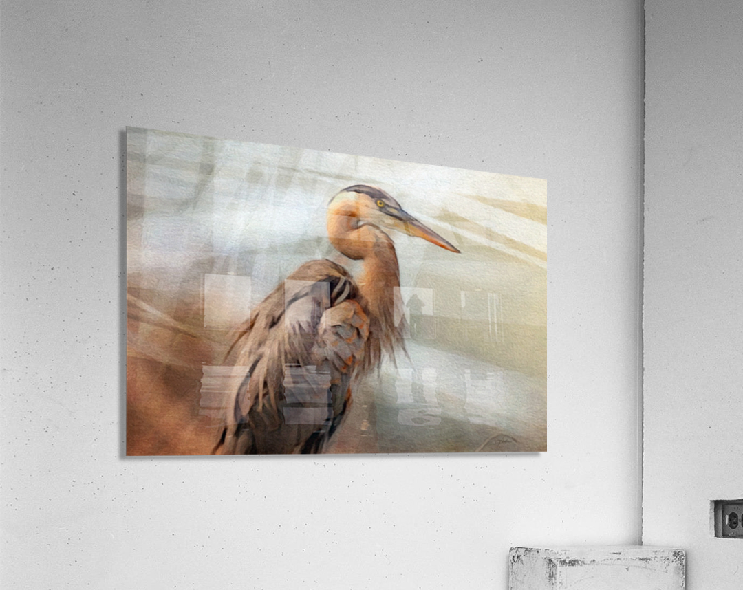 GREAT BLUE HERON Painting Acrylic Print