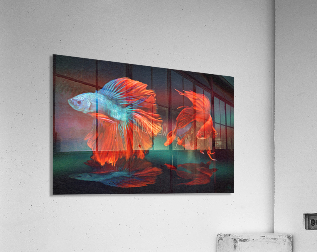 Red Fight Acrylic Print