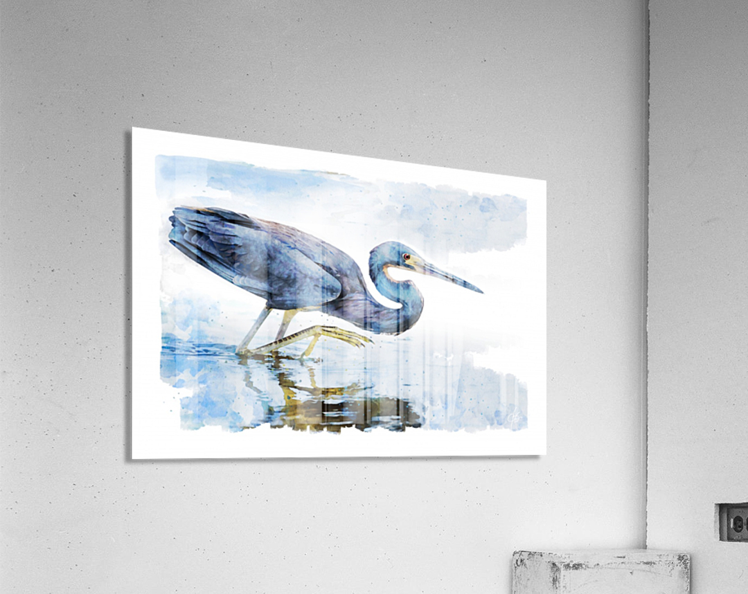 Bird in Water Acrylic Print