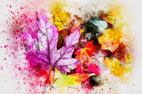AUTUMN LEAVES SPLASH OUT Print