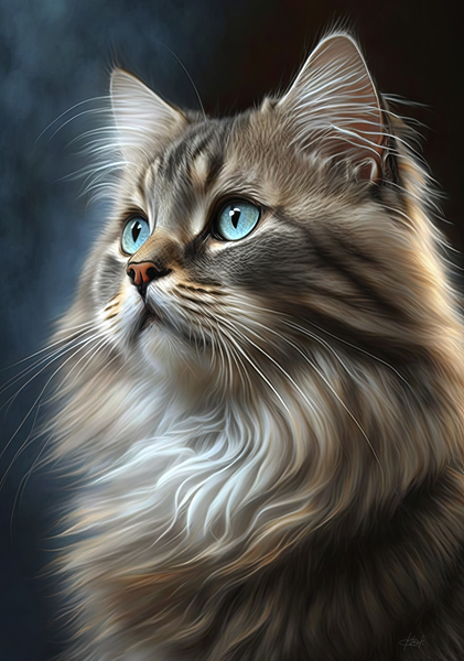 Cat Live Maine Coon Print
