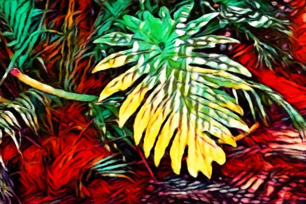 Elephant Leaves Print