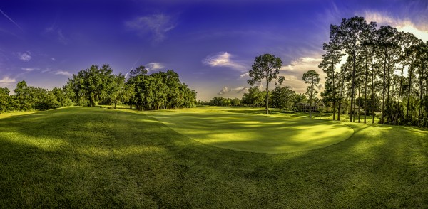 FLORIDA GOLF COURT Print