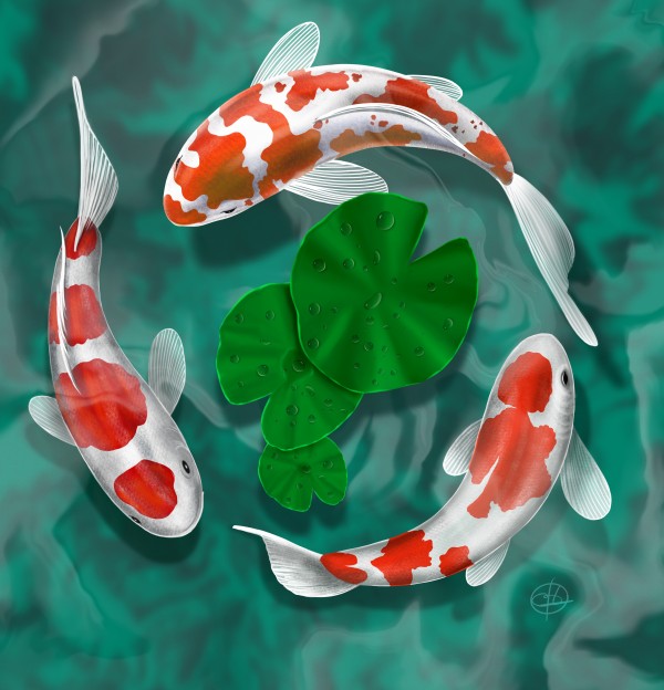 Circle Goldfish  Print