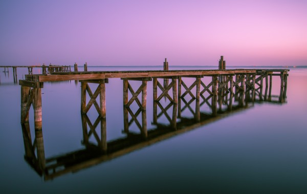 MORNING AT LAKE MONROE Print