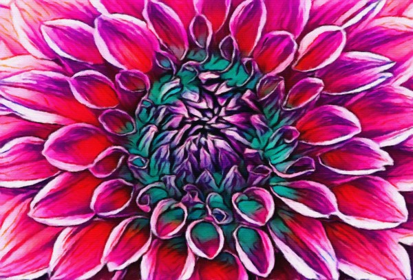 Red flower and Green Print