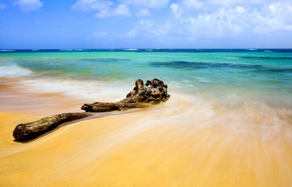 SEVEN SEA BEACH PR Print