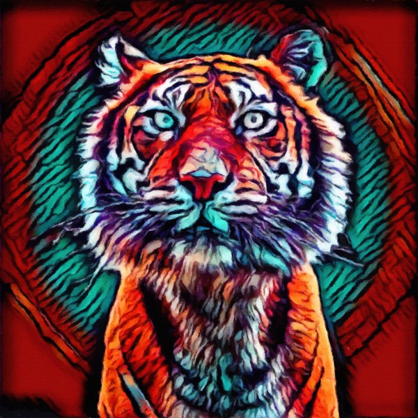 Tiger Color Face Print