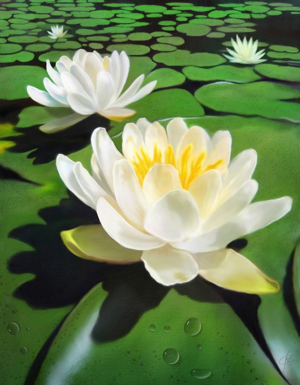 Water Lily Painting Print