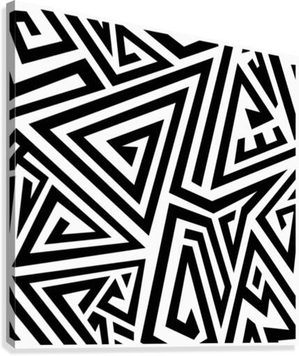 LINES E BW Canvas Print