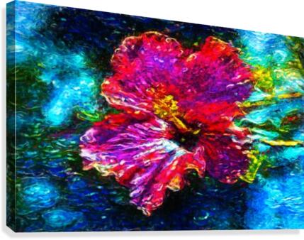 Amapola Canvas Print