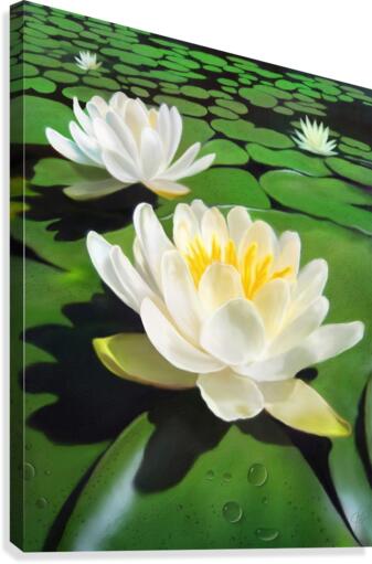 Water Lily Painting Canvas Print