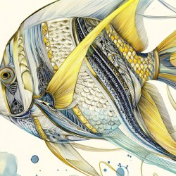 FISH ART 21