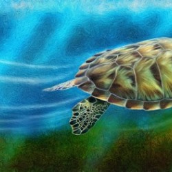 TURTLE IN THE OCEAN